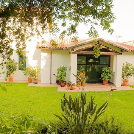 Villa Aurora Olbia Dış mekan fotoğraf